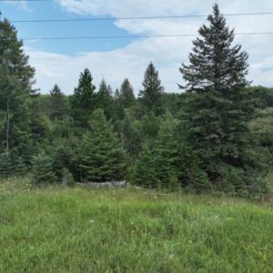 13.87 acres in Angora, MN (St. Louis County) - APN 215001001395